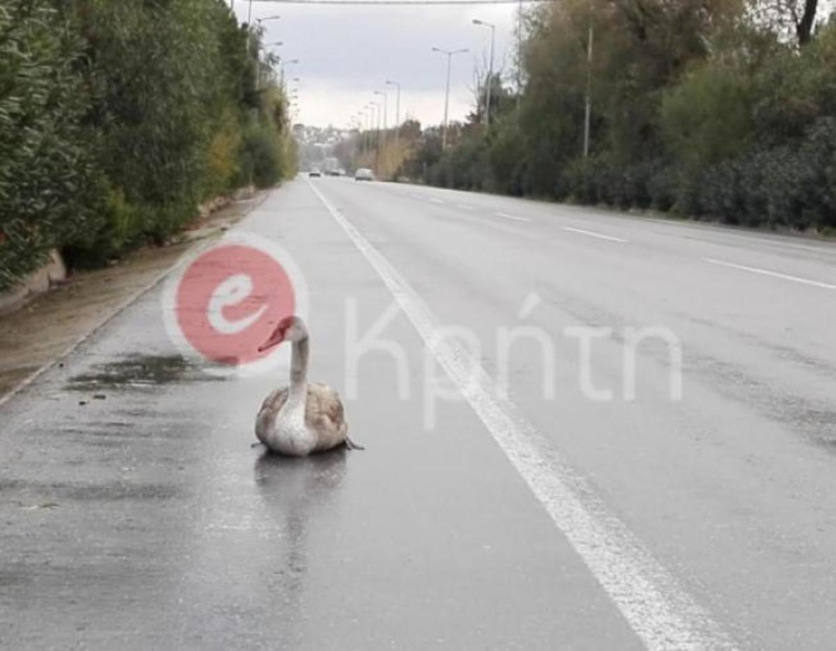 ΦΩΤΟ από ekriti