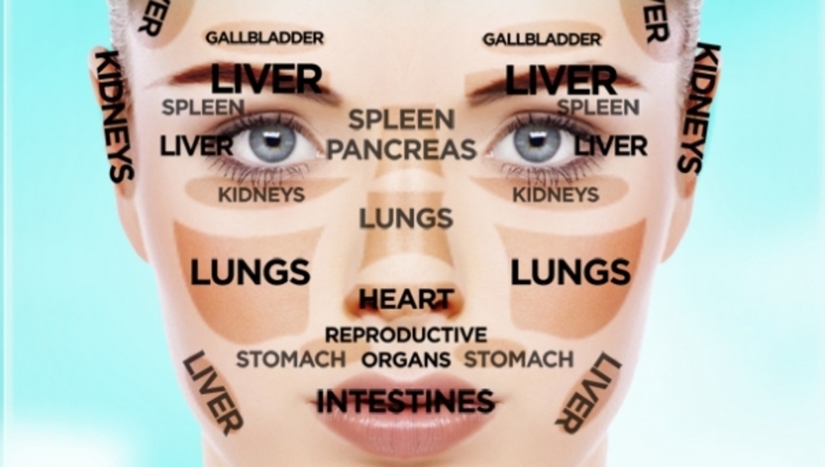 H “χαρτογράφηση” των οργάνων, στο πρόσωπό μας!