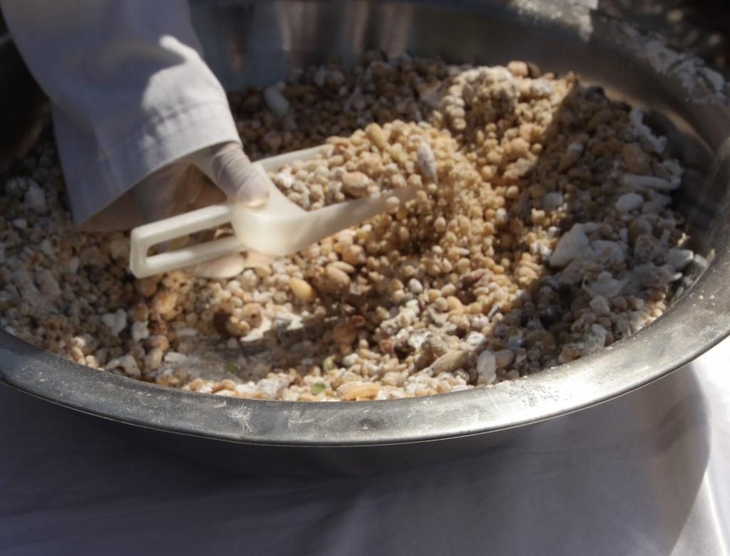 ΦΩΤΟ ΑΡΧΕΙΟΥ EUROKINISSI