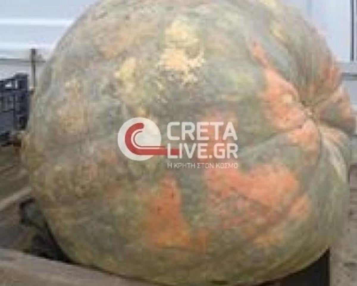 ΦΩΤΟ από cretalive.gr