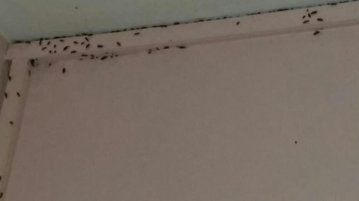 Υπουργείο Δικαιοσύνης: Τους “μάλωσε” ο Τσίπρας και ενδιαφέρθηκαν για το νοσοκομείο κρατουμένων