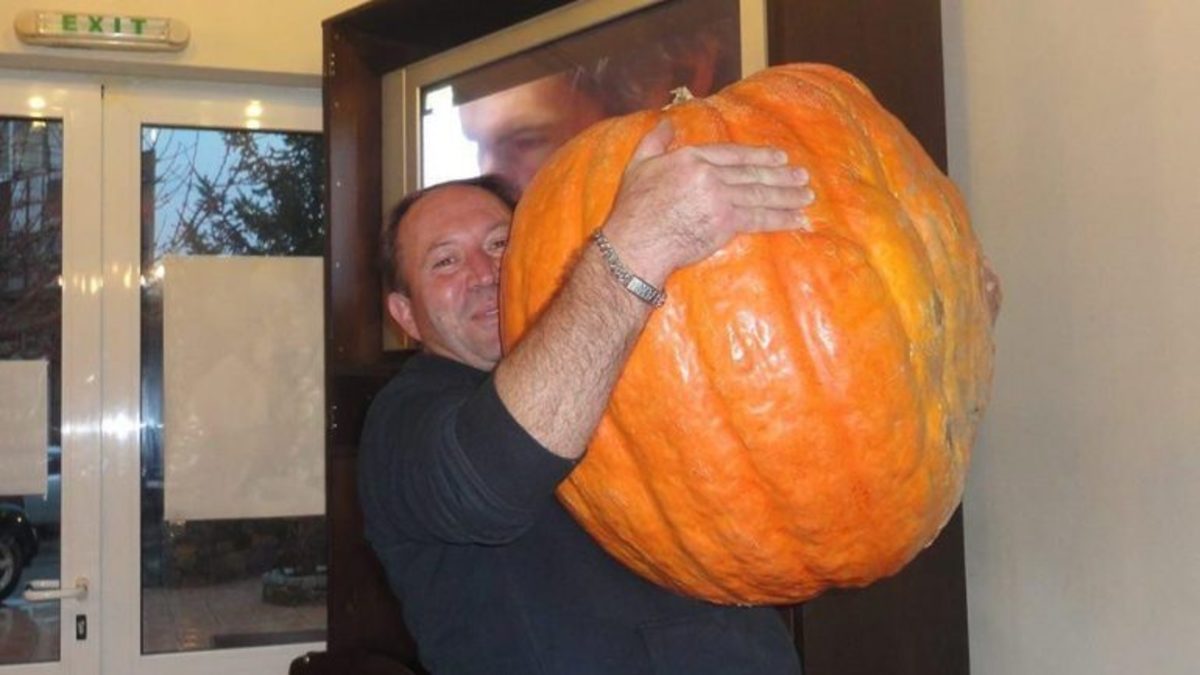 Εικόνα από το CretaLive