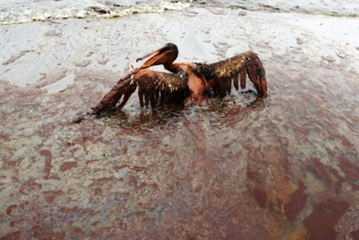 Κόλπος Μεξικού: Συλλέχθηκαν 6,077 βαρέλια πετρελαίου…