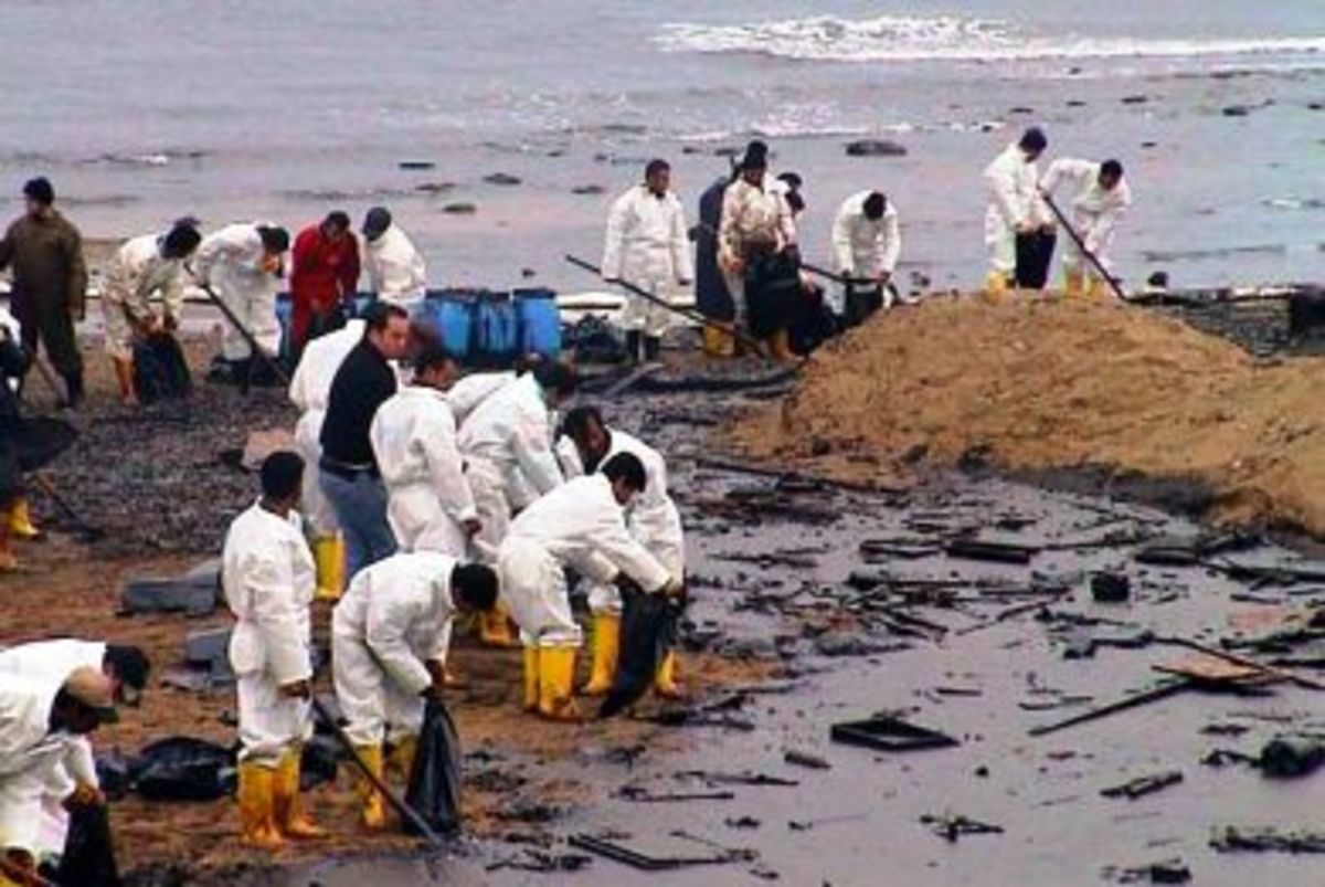 HΠA: «νεκρώνει» το θαλάσσιο οικοσύστημα…