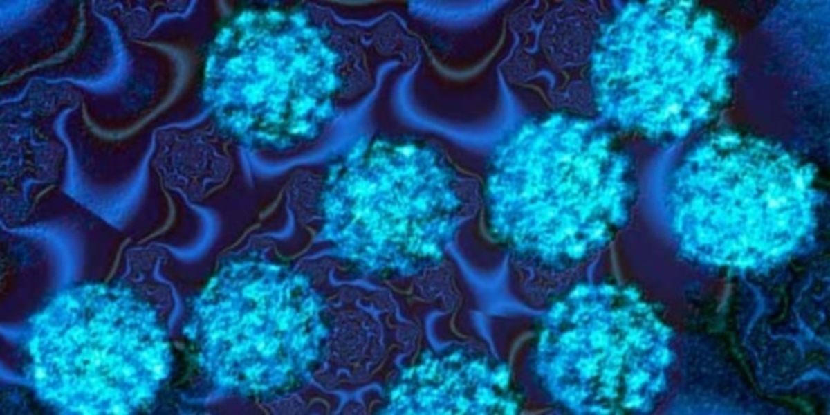 Κονδυλώματα στους άντρες: Αίτια, συμπτώματα και τρόποι αντιμετώπισης