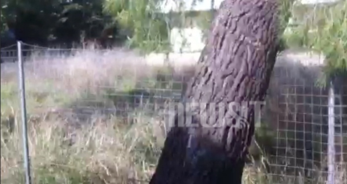 Πουλούσαν ξένα οικόπεδα