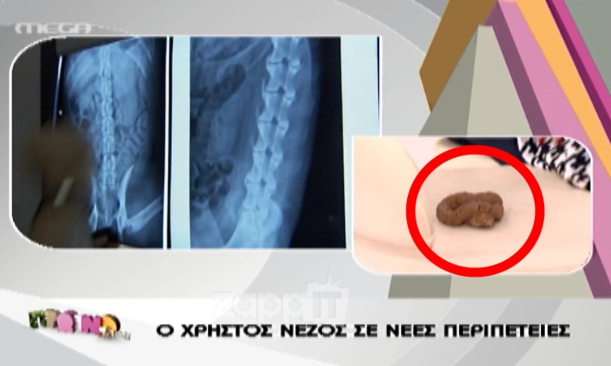 Το …ατύχημα στην καρέκλα της Φαίης Σκορδά!