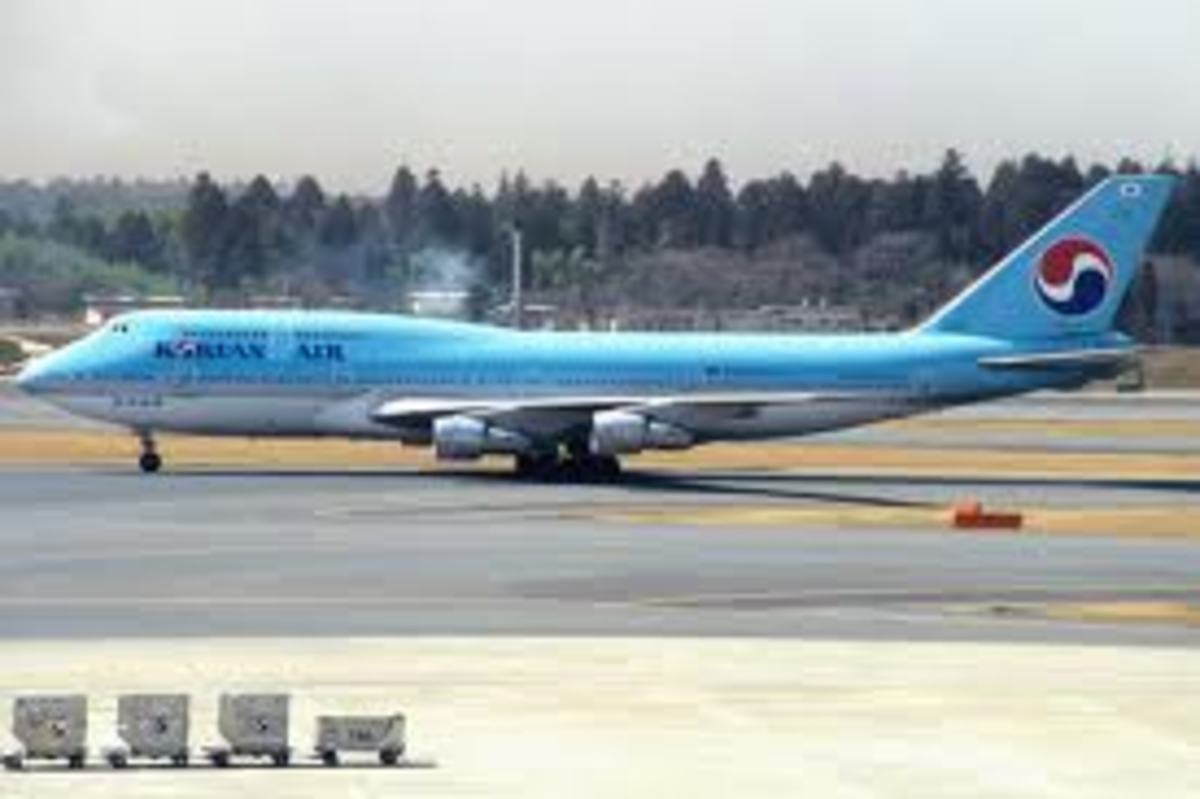 Χειροπέδες στην κόρη του ιδιοκτήτη της Korea Air – Είχε απολύσει άτομο που της σέρβιρε με λάθος τρόπο τους ξηρούς καρπούς