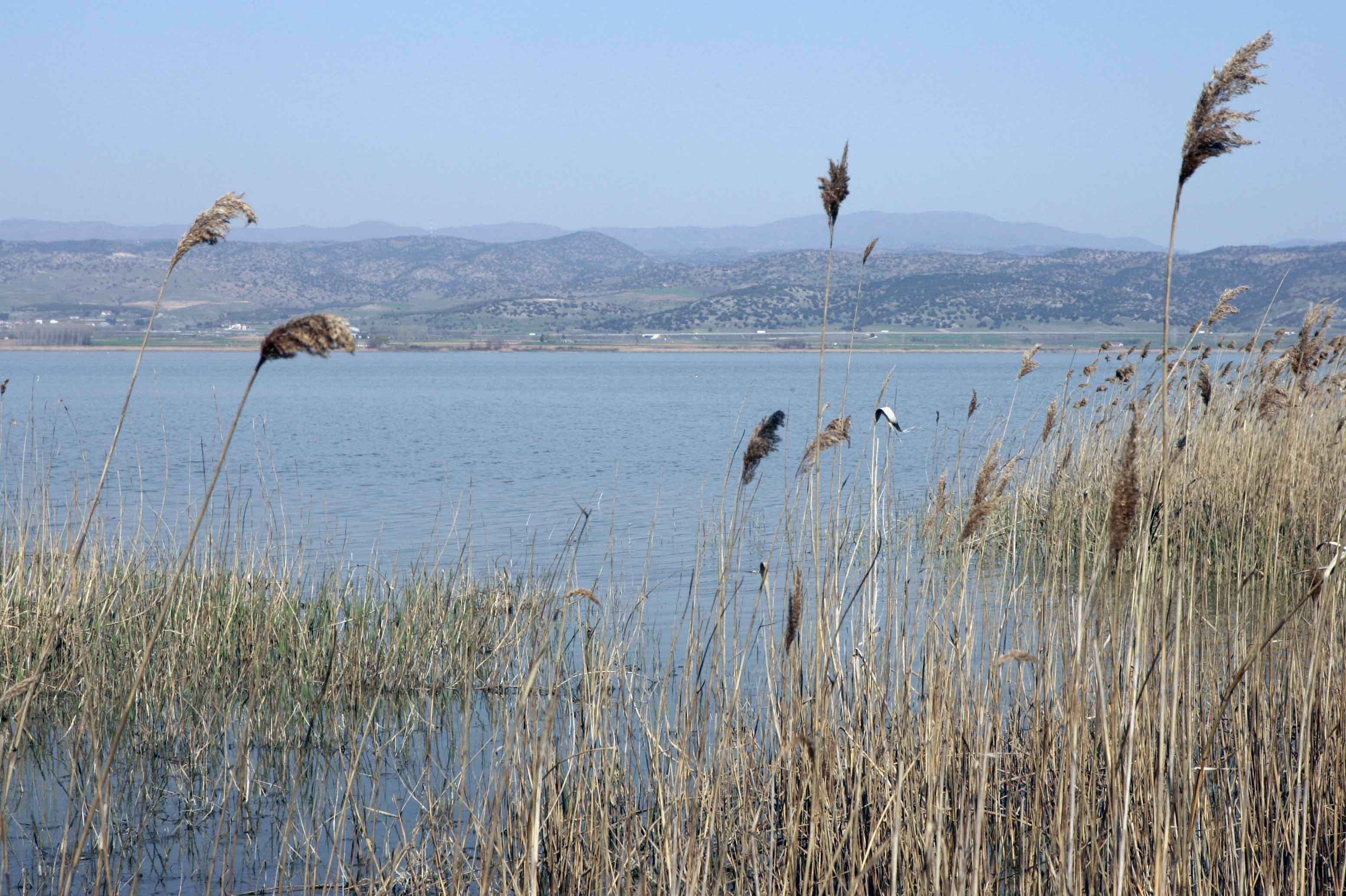 Θεσσαλονίκη: Είδε ανθρώπινα μέλη να επιπλέουν στη λίμνη