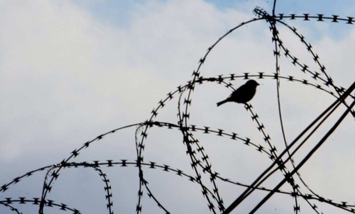Συμφωνία συνεργασίας για τις φυλακές ανάμεσα στο υπ. Δικαιοσύνης και τον Συνήγορο του Πολίτη
