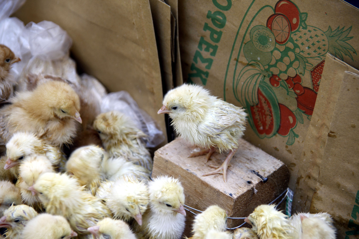 ΦΩΤΟ ΑΡΧΕΙΟΥ EUROKINISSI