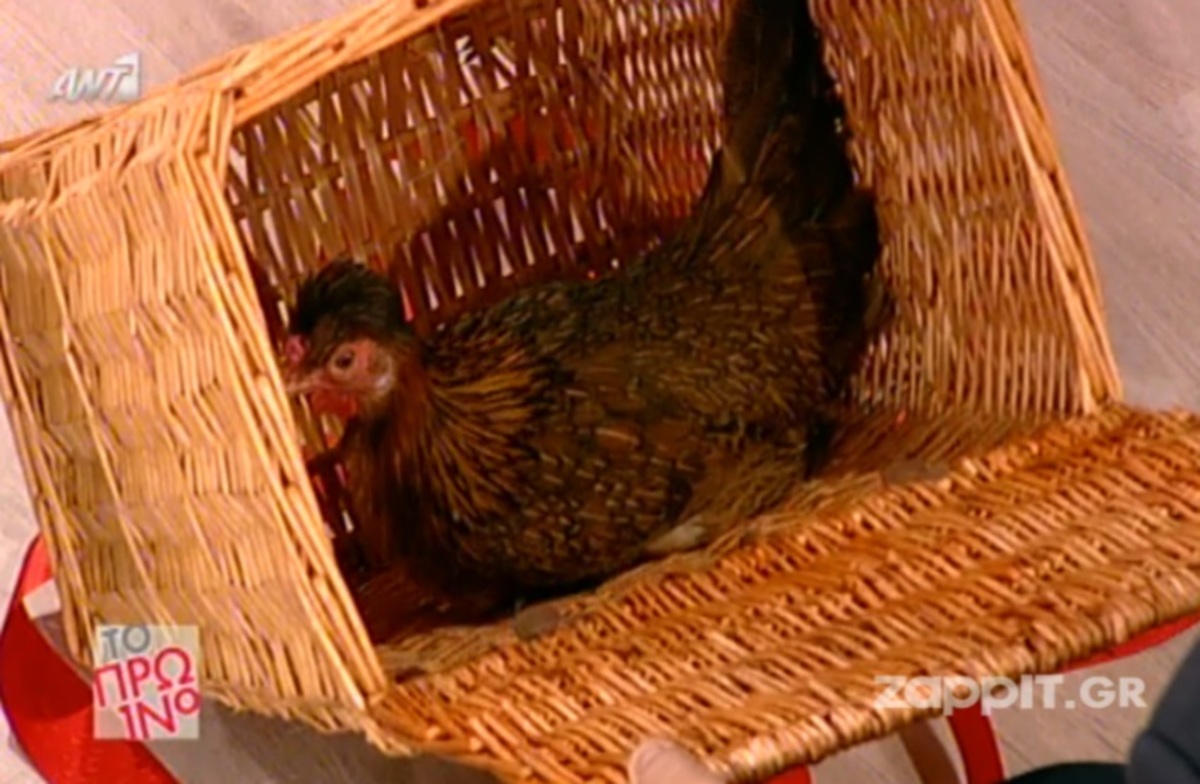 Ο Αρναούτογλου έστειλε κότα στον Περρή! «Συναντηθήκαμε στο ασανσέρ και…»