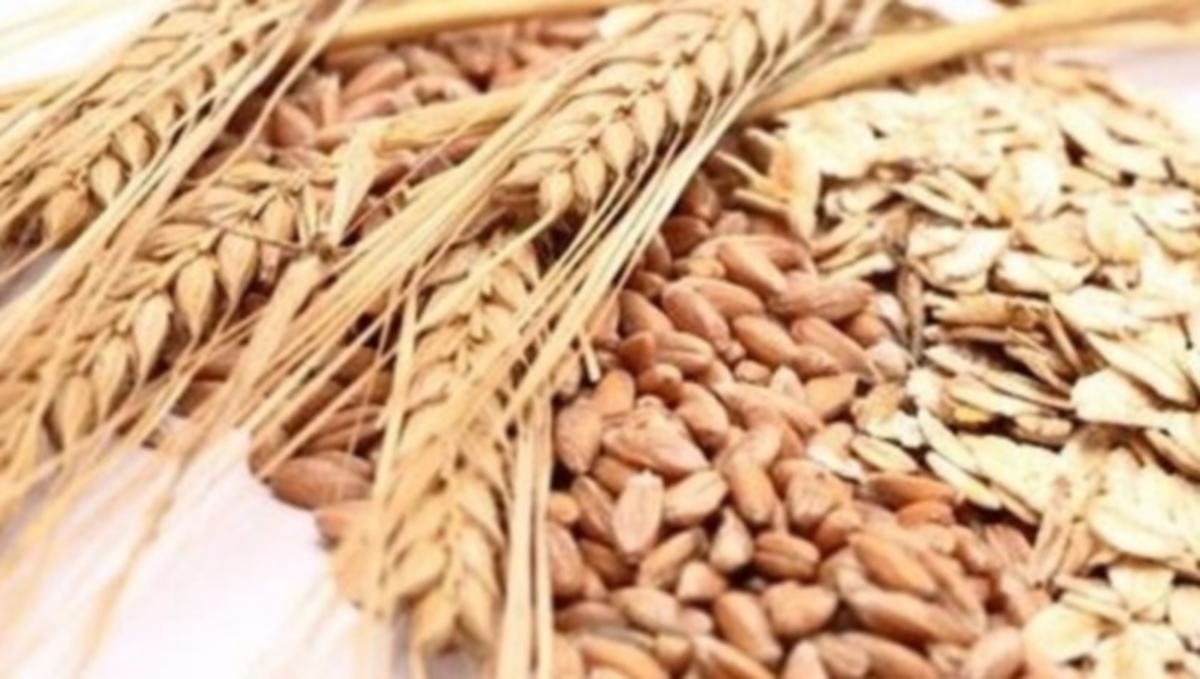 Κάτι σαν κουάκερ έτρωγαν οι άνθρωποι στην λίθινη εποχή