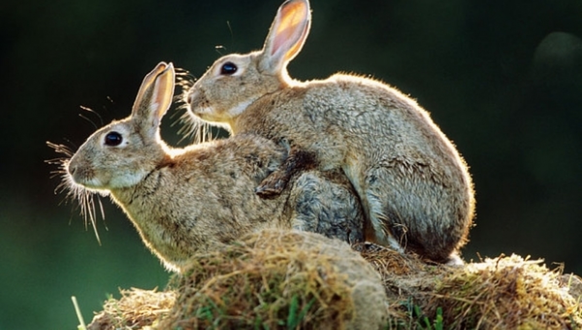 Αν νομίζετε ότι το σεξ φέρνει ευτυχία κάνετε λάθος – Δείτε γιατί…