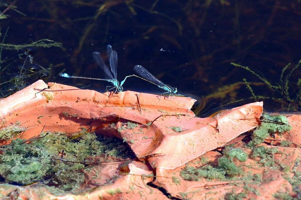 ΦΩΤΟ ΑΡΧΕΙΟΥ EUROKINISSI