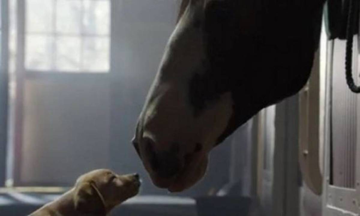 Μια φιλία που θα σας συγκινήσει!