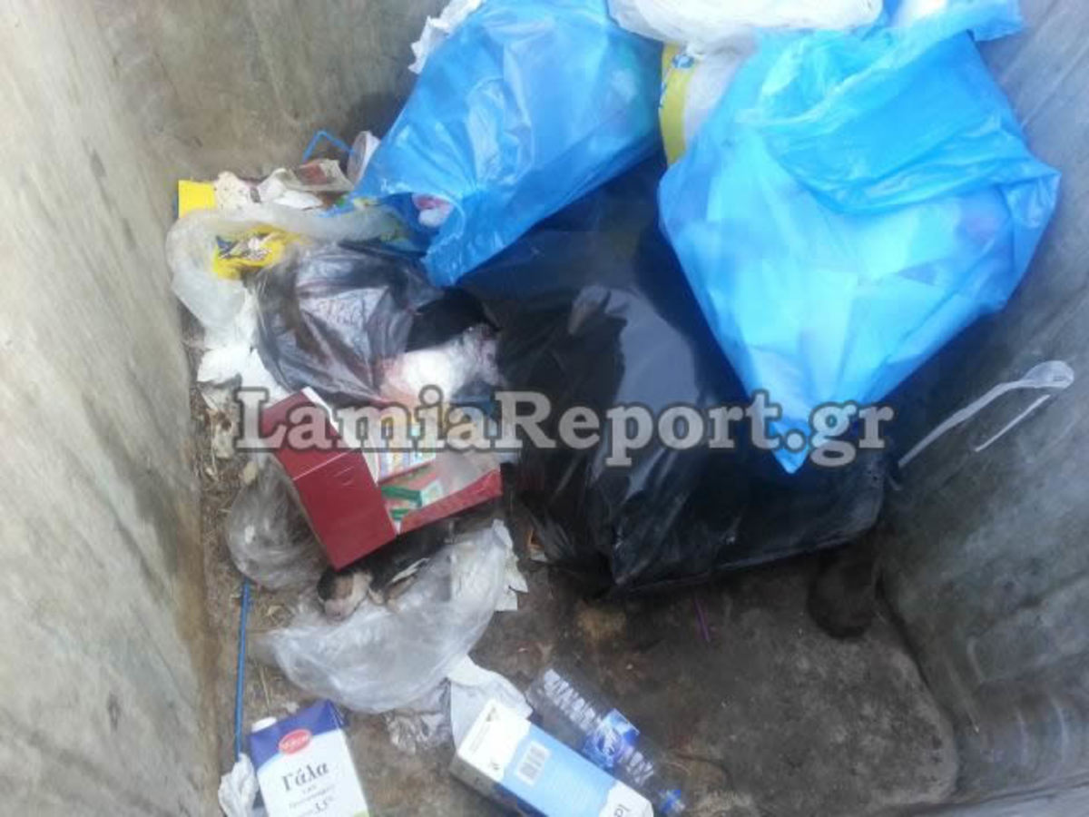 ΦΩΤΟ από lamiareport.gr