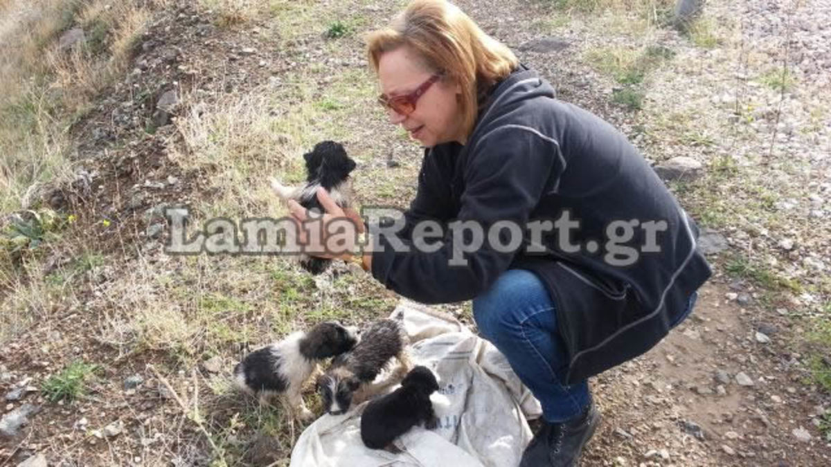 ΦΩΤΟ από lamiareport.gr