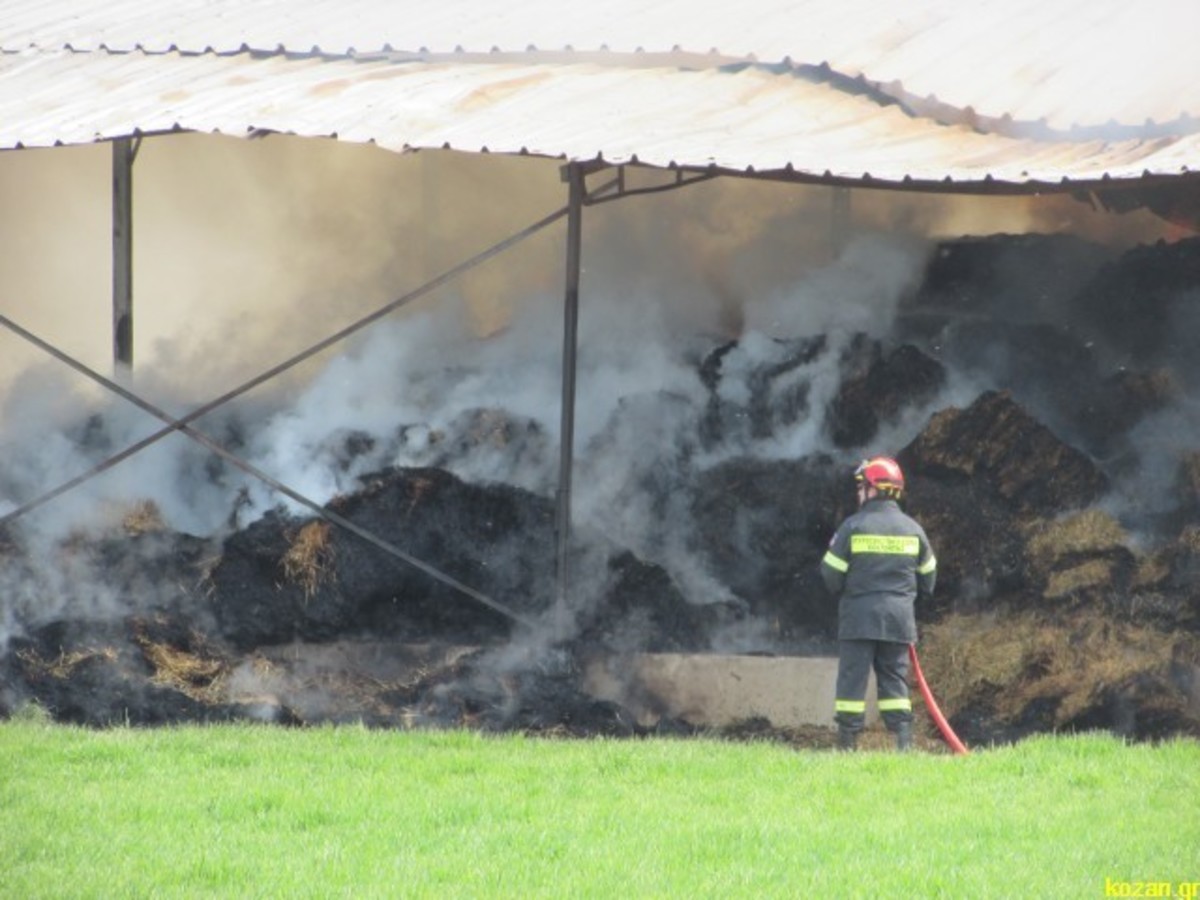 Ώρες αγωνίας για κτηνοτρόφο στην Κοζάνη – Στις φλόγες η μονάδα του (ΒΙΝΤΕΟ)
