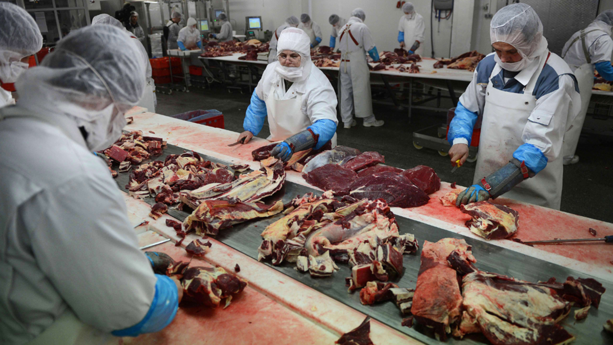 Βρετανία: Βρέθηκαν 35 θετικά δείγματα στους ελέγχους για κρέας αλόγου σε προϊόντα με βόειο κρέας