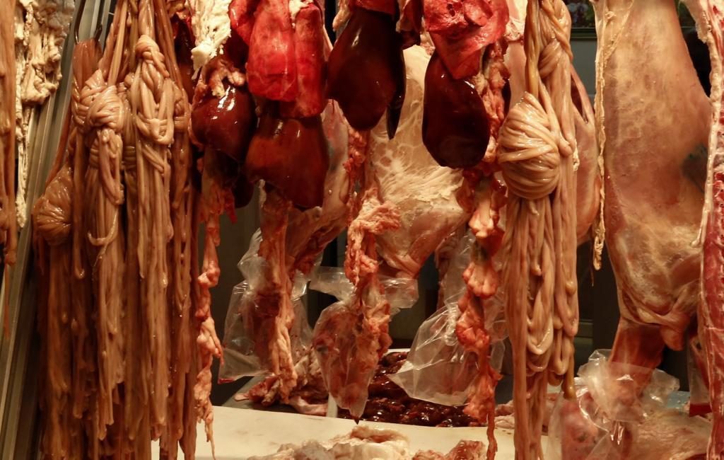 ΦΩΤΟ ΑΡΧΕΙΟΥ EUROKINISSI