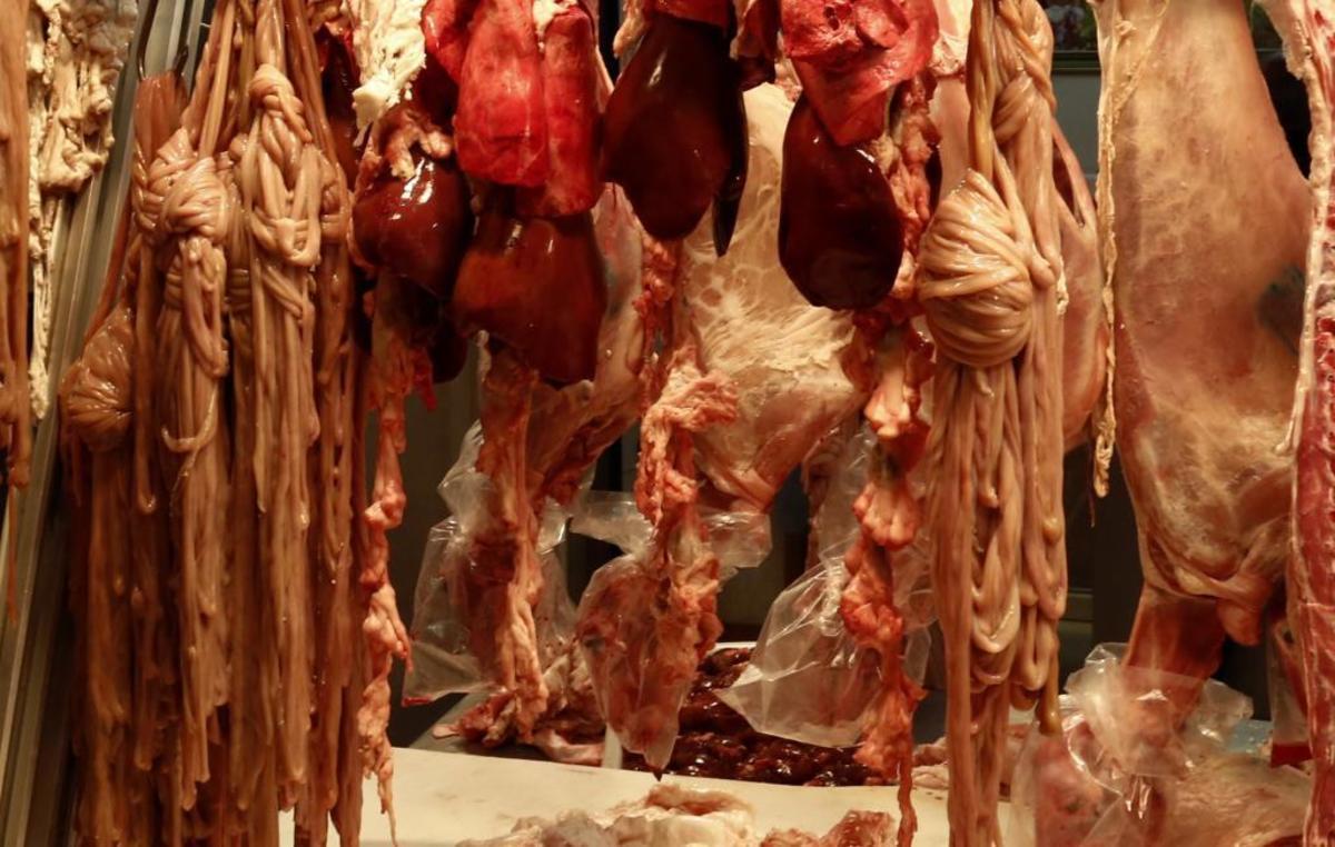 ΦΩΤΟ ΑΡΧΕΙΟΥ EUROKINISSI