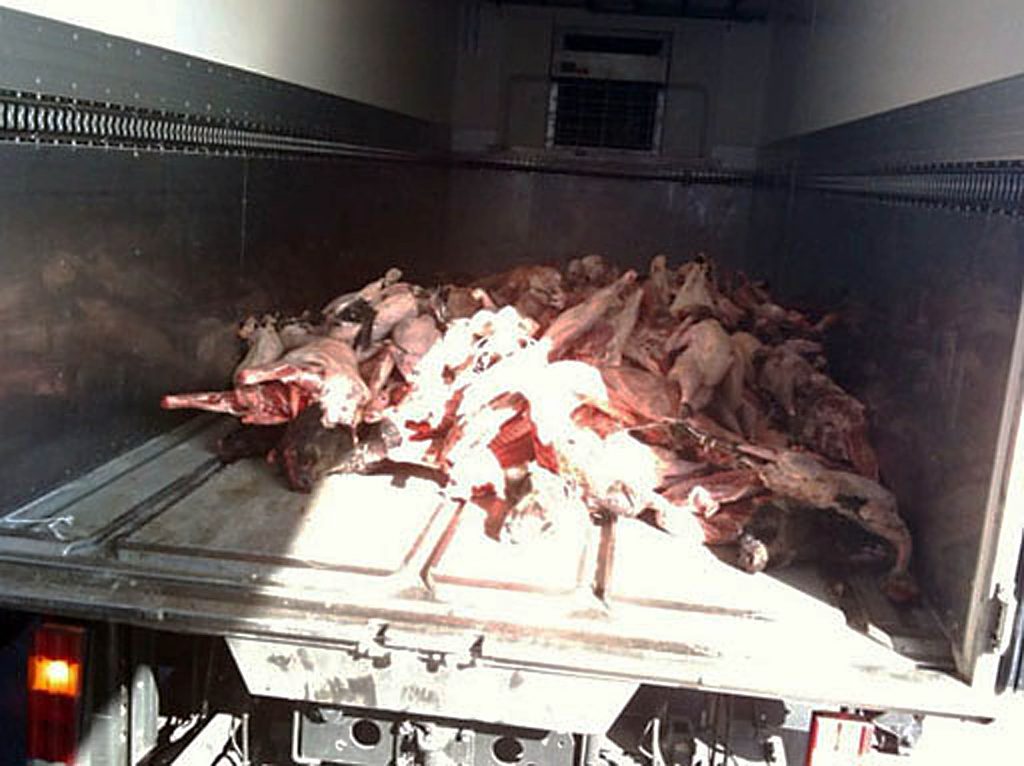 252 κιλά ακατάλληλου κρέατος κατασχέθηκαν στον Πειραιά