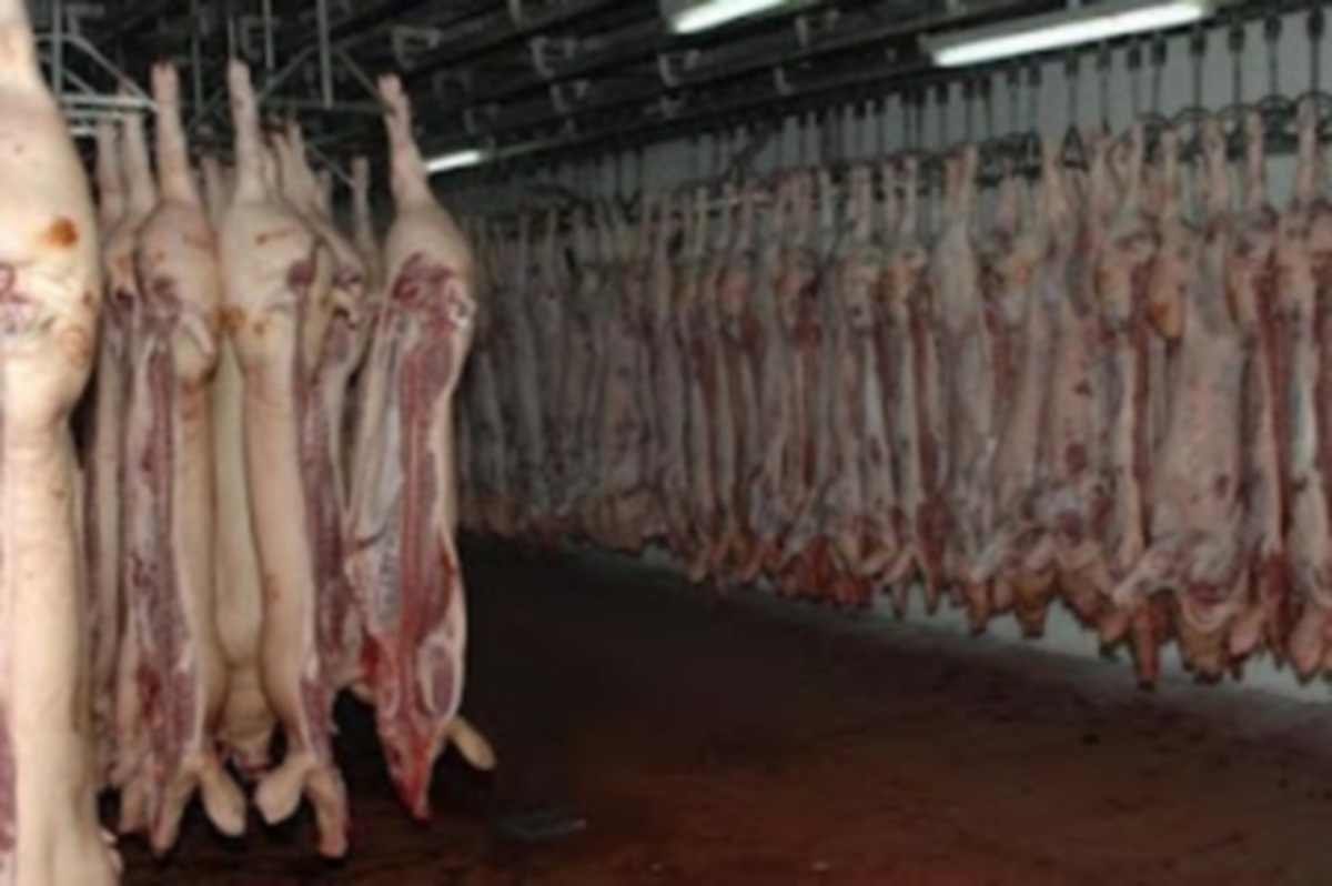 300 νέοι Θεσσαλονικείς δουλεύουν στα σφαγεία του Αμστερνταμ!