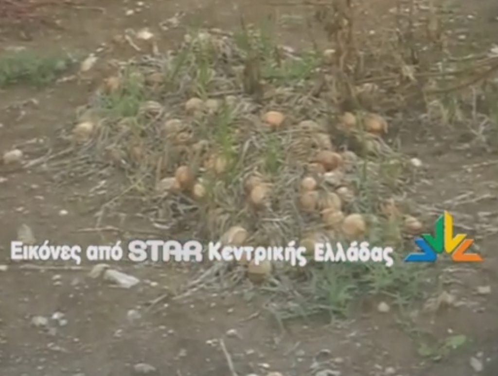 ΦΩΤΟ από lamiastar.gr