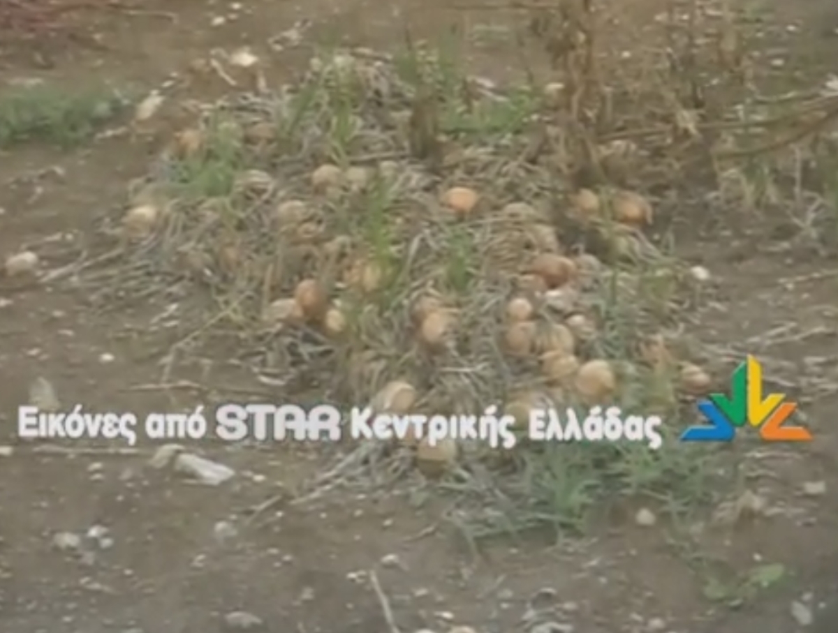 ΦΩΤΟ από lamiastar.gr