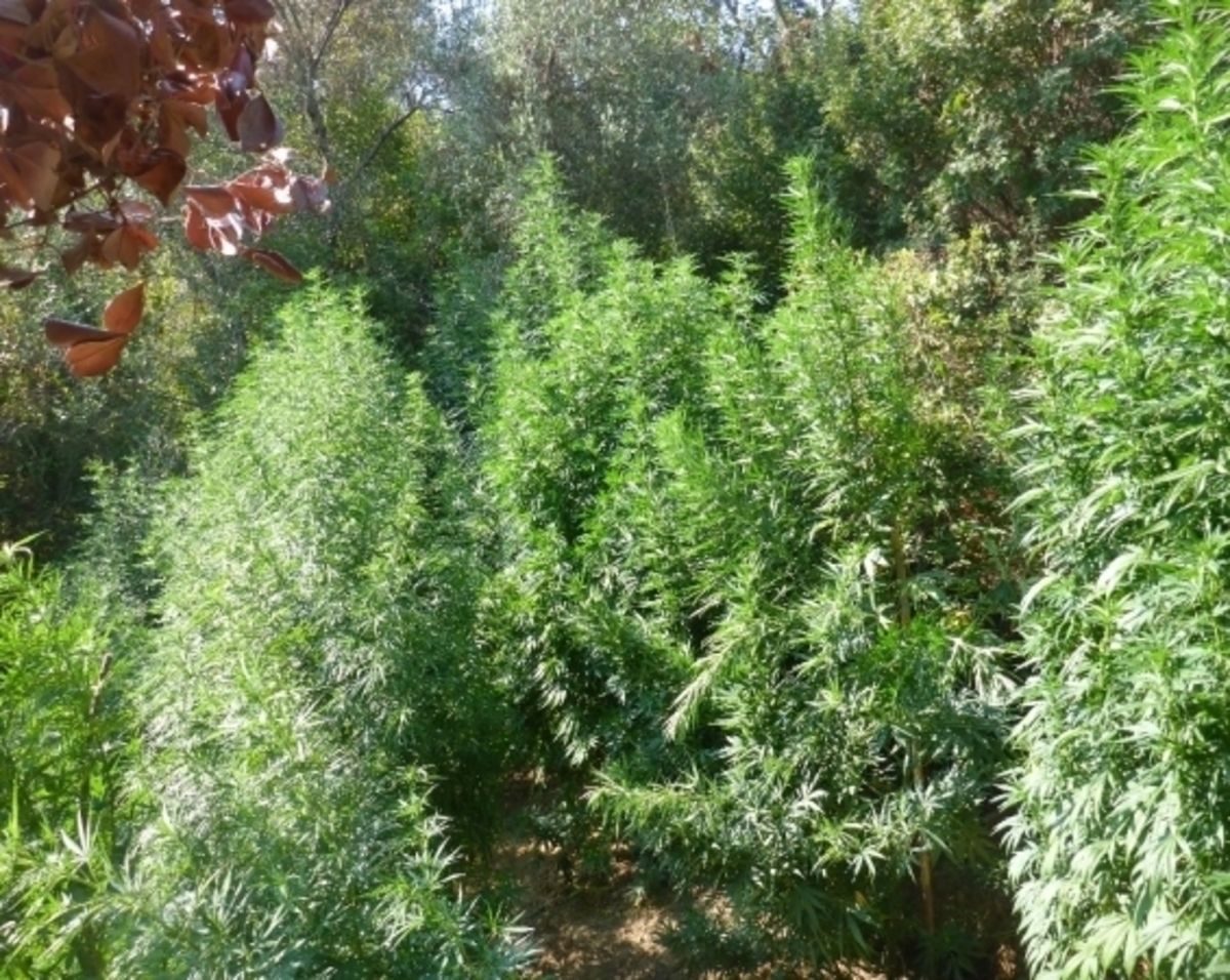 ΦΩΤΟ από ekriti