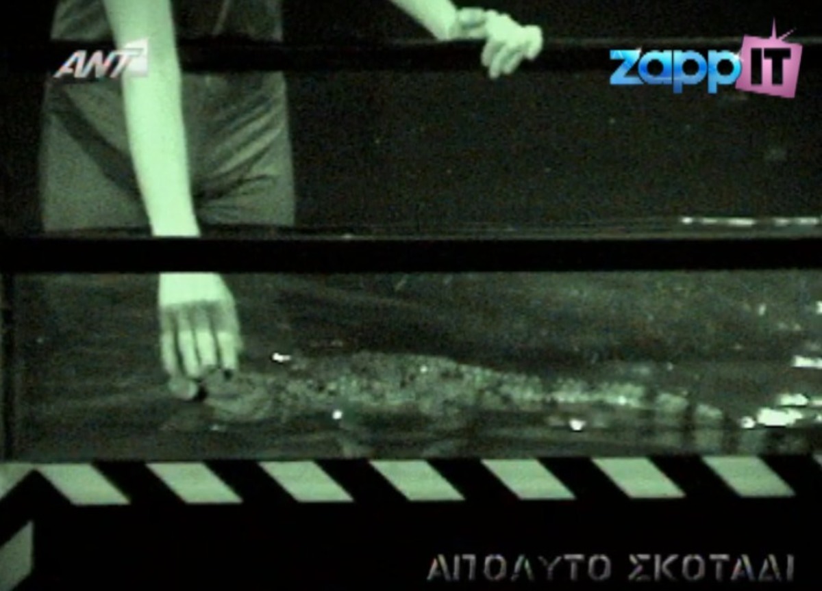 Τους έβαλαν να πιάσουν κροκόδειλο!