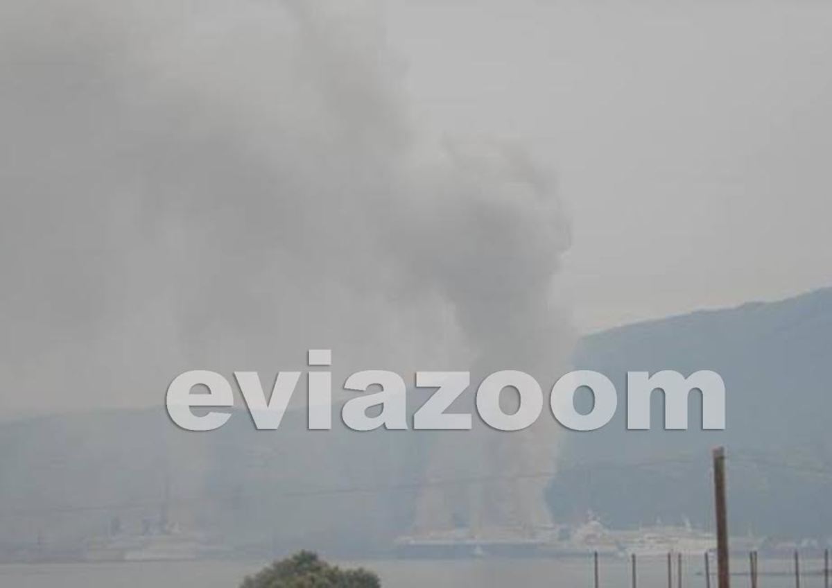 φωτό από EVIAZOOM