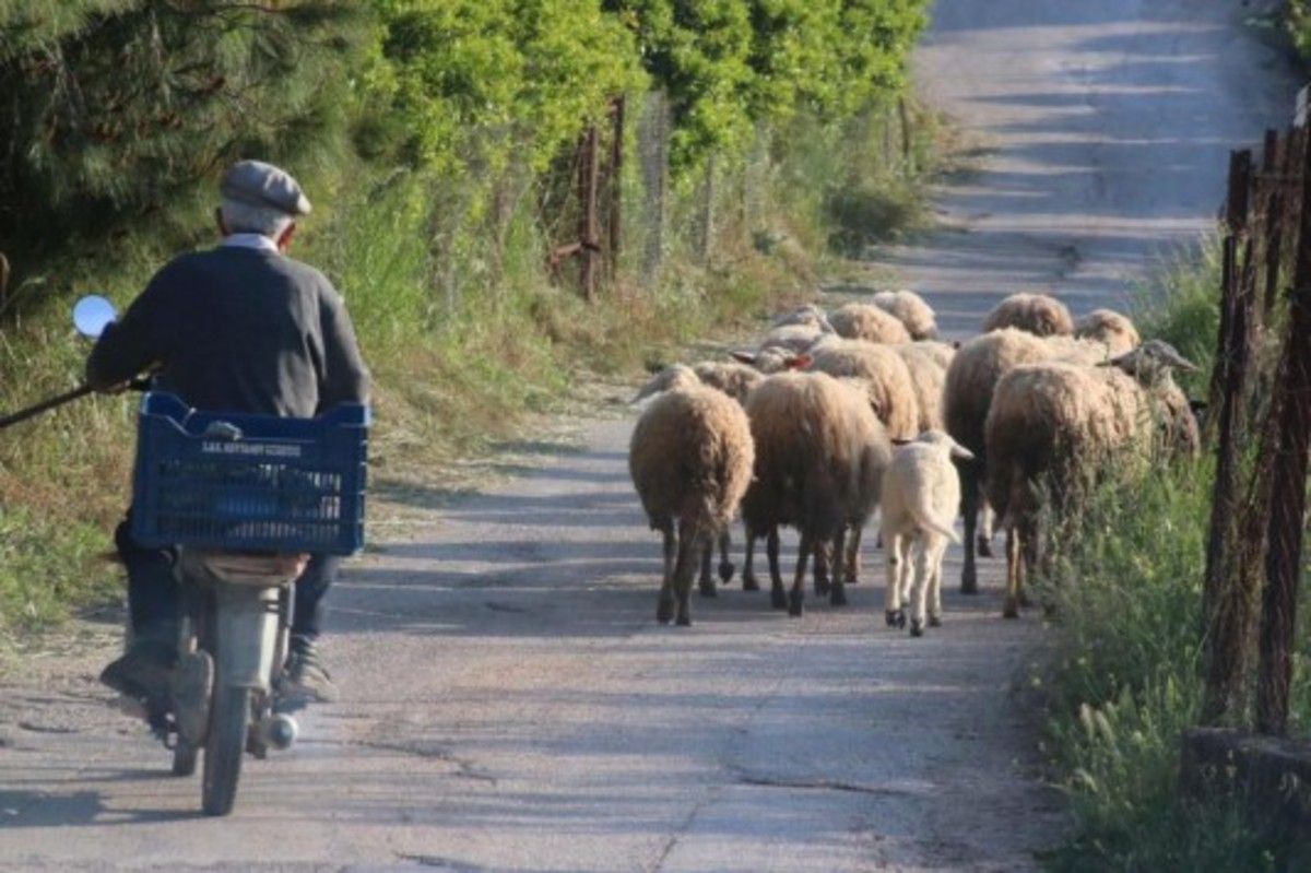 ΦΩΤΟ ΑΡΧΕΙΟΥ