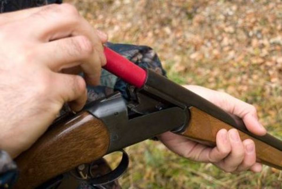 Καρδίτσα: Τον πέρασε για αγριογούρουνο και τον σκότωσε!