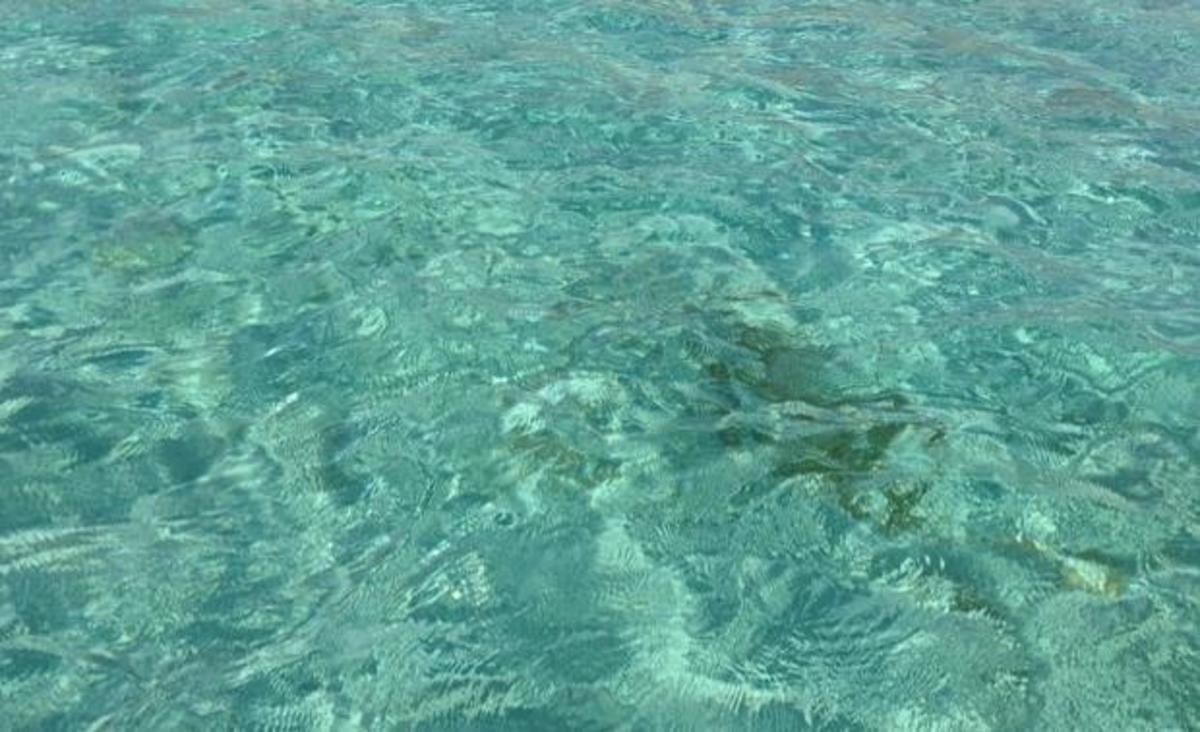 Σε ποιο μέρος βρίσκεται για διακοπές ο Γιάννης Λάτσιος;