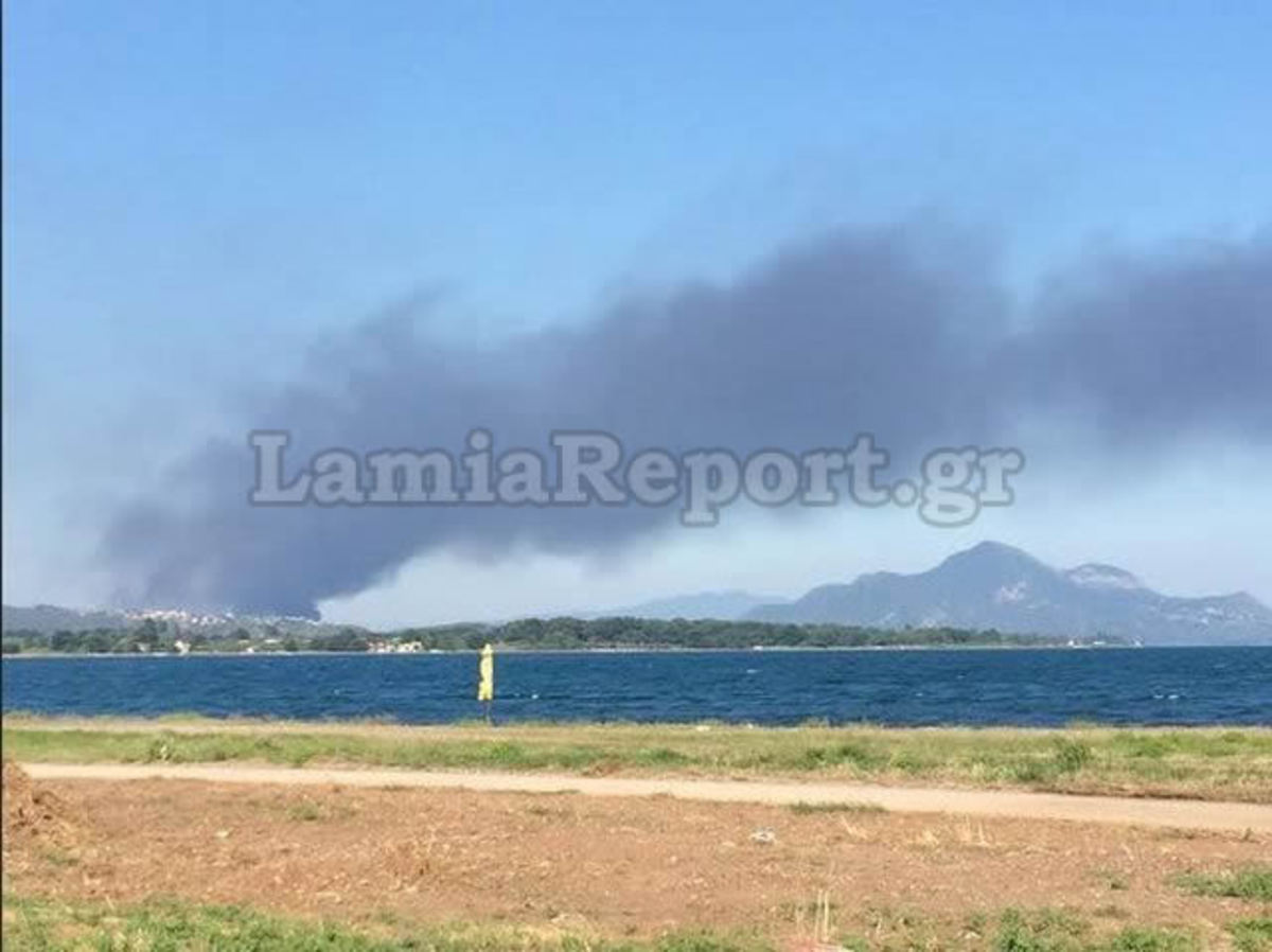 ΦΩΤΟ από lamiareport.gr