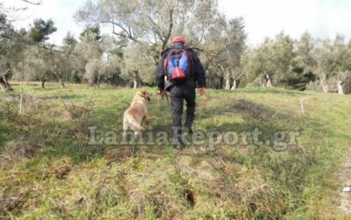 ΦΩΤΟ από το LamiaReport