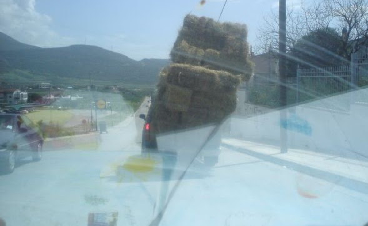 Εικόνα από το LamiaStar