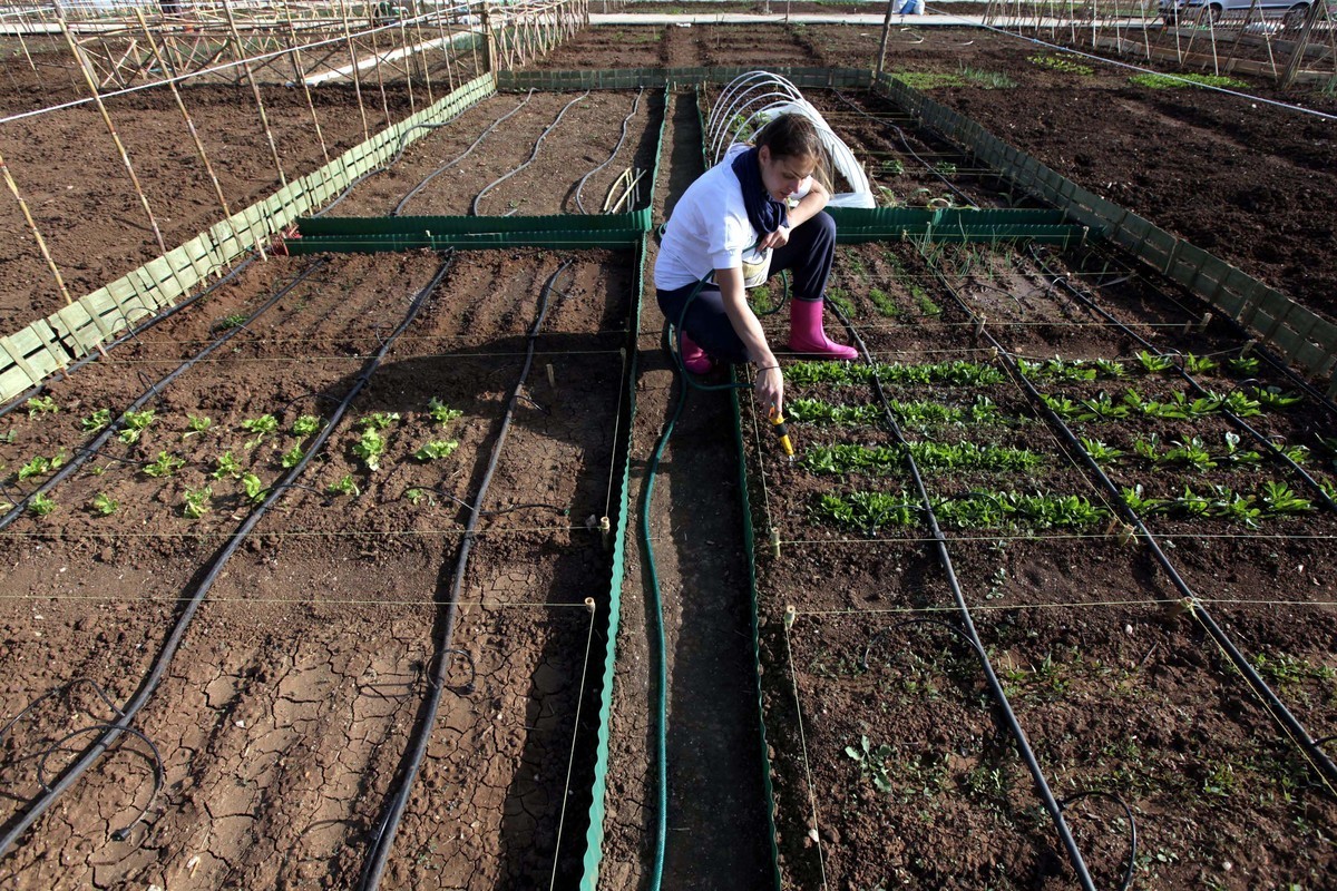 ΦΩΤΟ ΑΡΧΕΙΟΥ EUROKINISSI