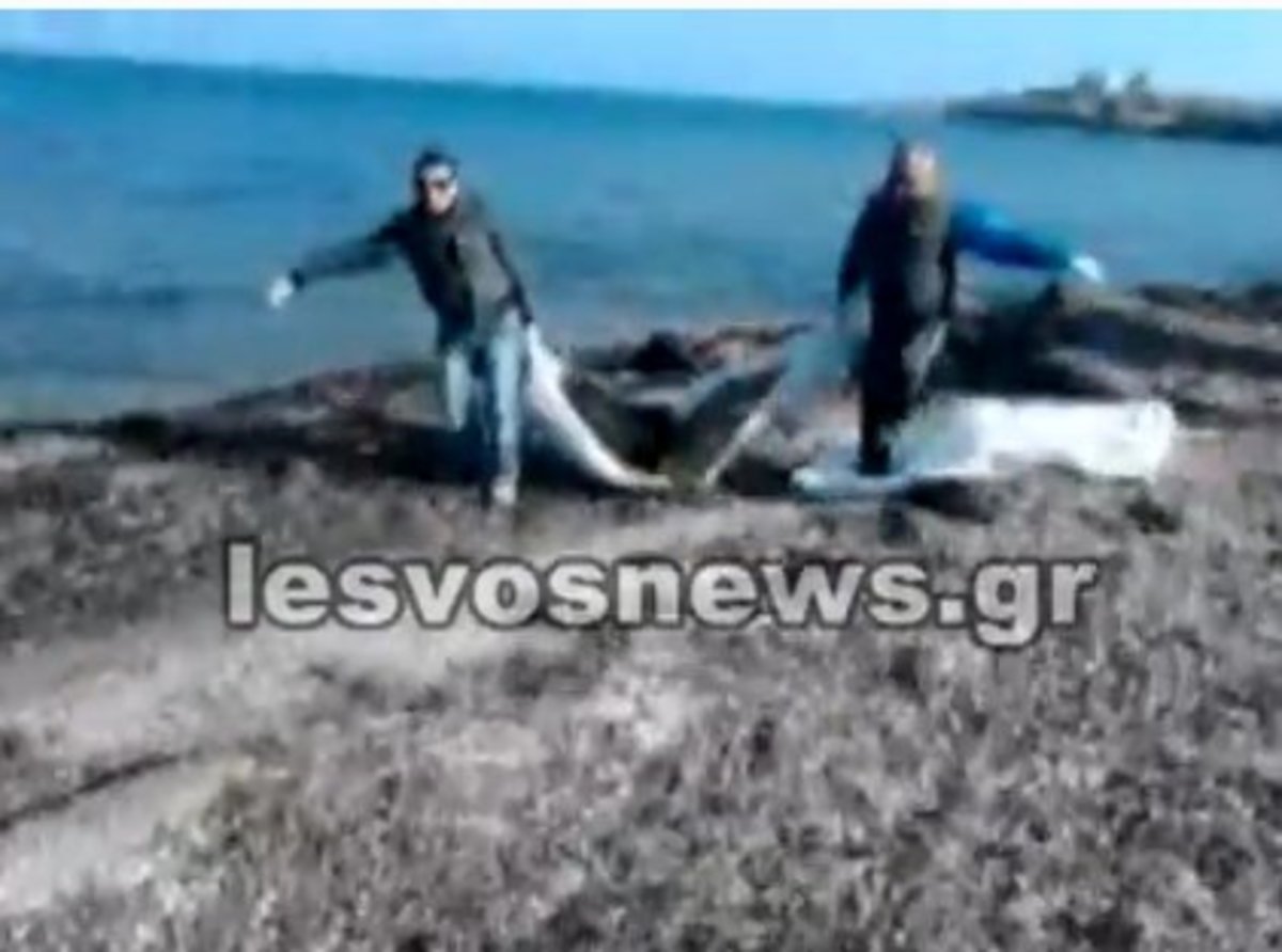 Τραγωδία ανοιχτά της Λέσβου