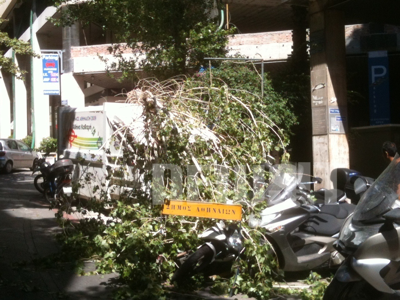 Δέντρο έπεσε από το δυνατό αέρα και τραυμάτισε γυναίκα (ΦΩΤΟ)