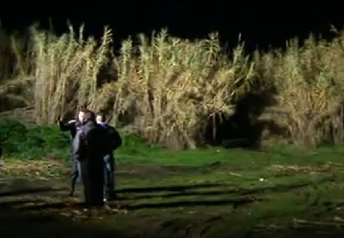 Εικόνα από το cityvoice