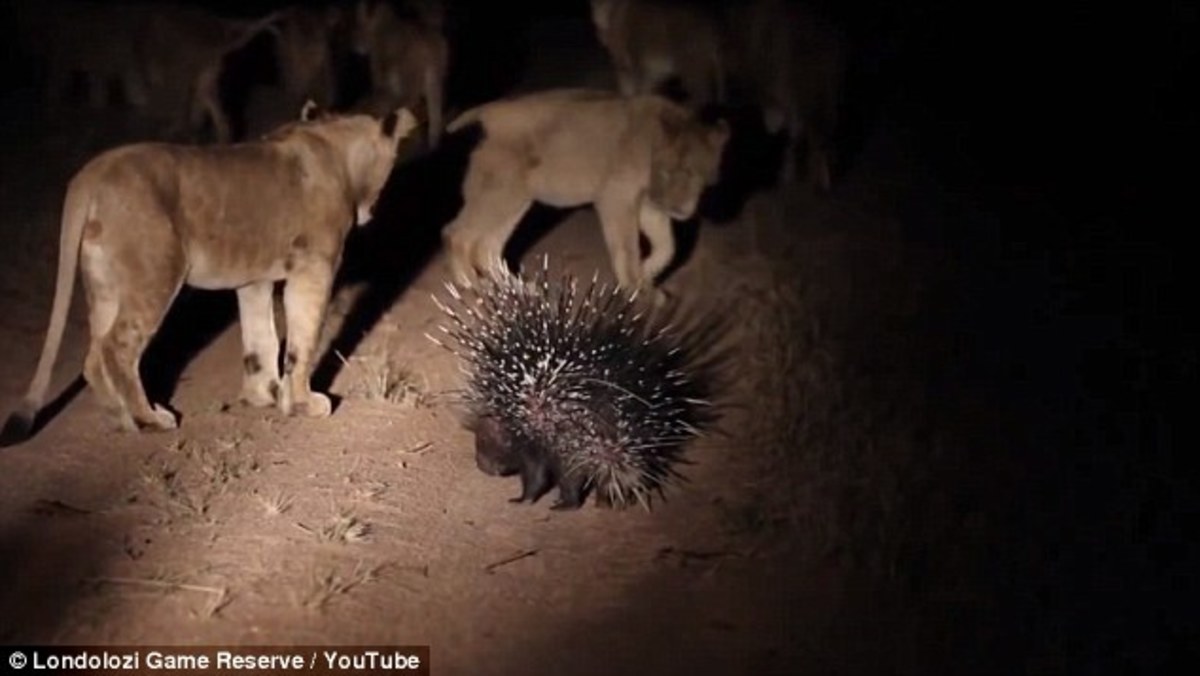 ΠΗΓΗ ΦΩΤΟ DAILY MAIL