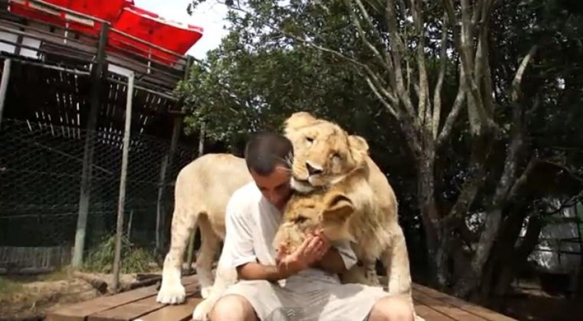 Κάνει…αγαπούλες με δυο λιοντάρια!