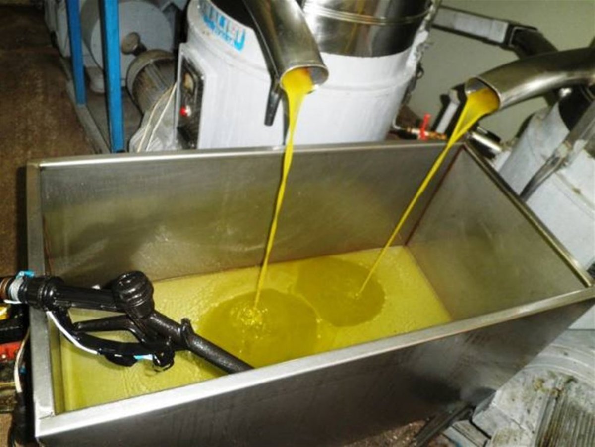 Λαμία: Σοβαρό εργατικό ατύχημα σε ελαιοτριβείο