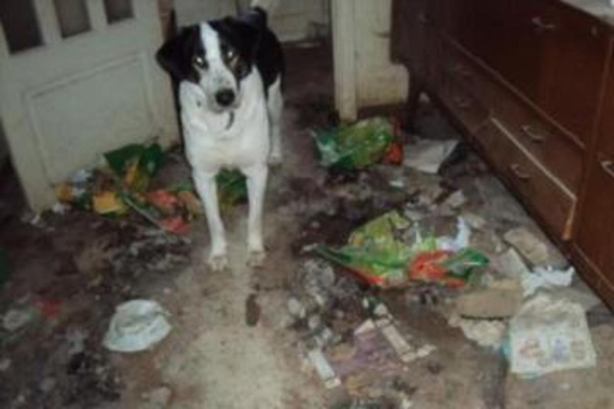 ΦΩΤΟ από dete.gr