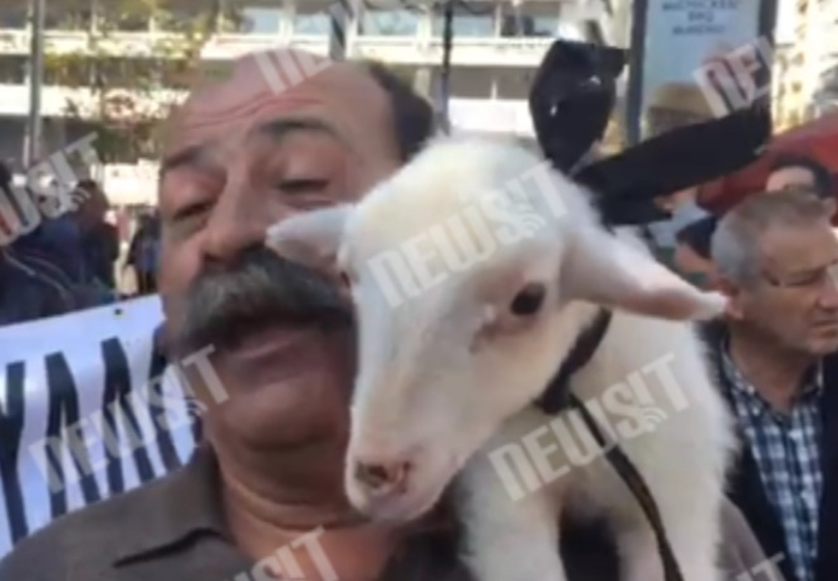Συλλαλητήριο: Κτηνοτρόφος με αρνί