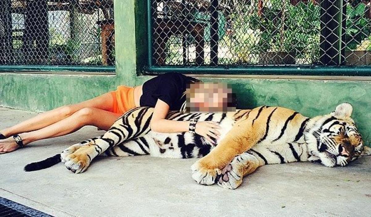 Ποια Ελληνίδα καλλονή ποζάρει αγκαλιά με μία τίγρη;