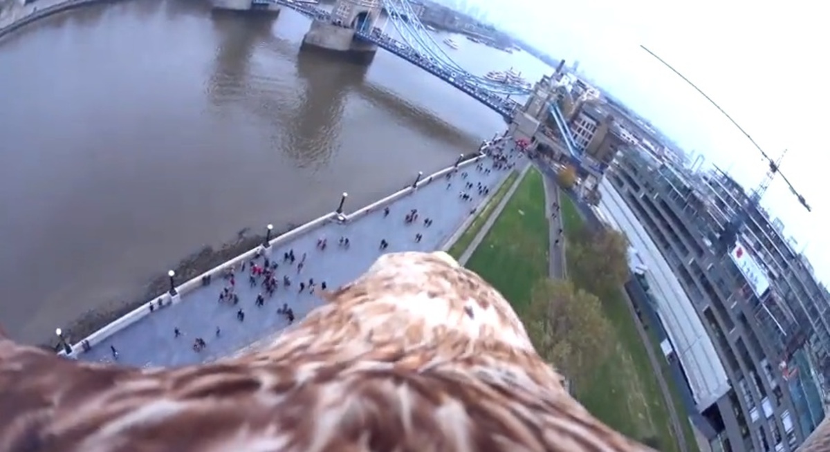 Ταξίδι πάνω από το Λονδίνο στην πλάτη ενός αετού!